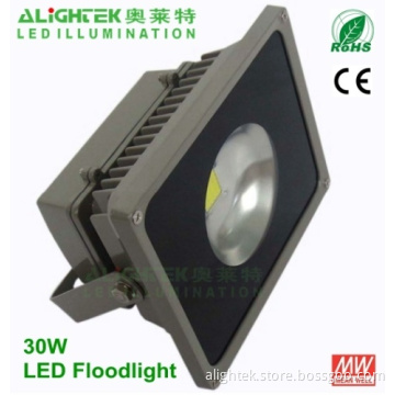 30w Led Flood Light Projector 